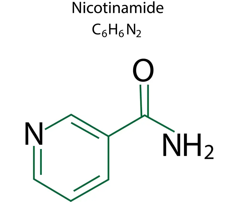 Nicotinamide Mononucleotide (NMN): Unraveling the Promise of the Aging Molecule