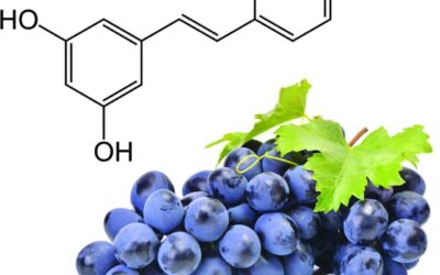 Resveratrol: The Polyphenol with Potential Health Benefits