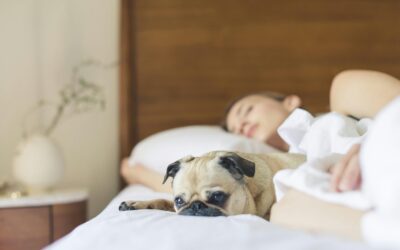 Unlocking Deeper Sleep: Science-Backed Strategies for More Restorative Nights